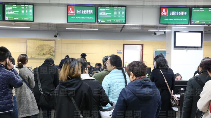 落实“高效办成一件事” 谱写政务服务便民利企新篇章「相关图片」